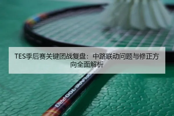 TES季后赛关键团战复盘：中路联动问题与修正方向全面解析