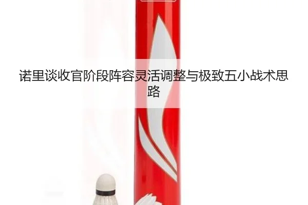 诺里谈收官阶段阵容灵活调整与极致五小战术思路